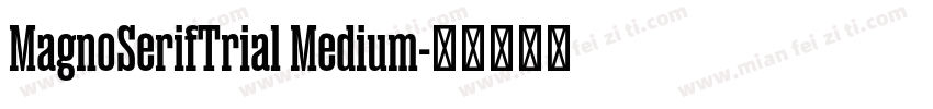 MagnoSerifTrial Medium字体转换